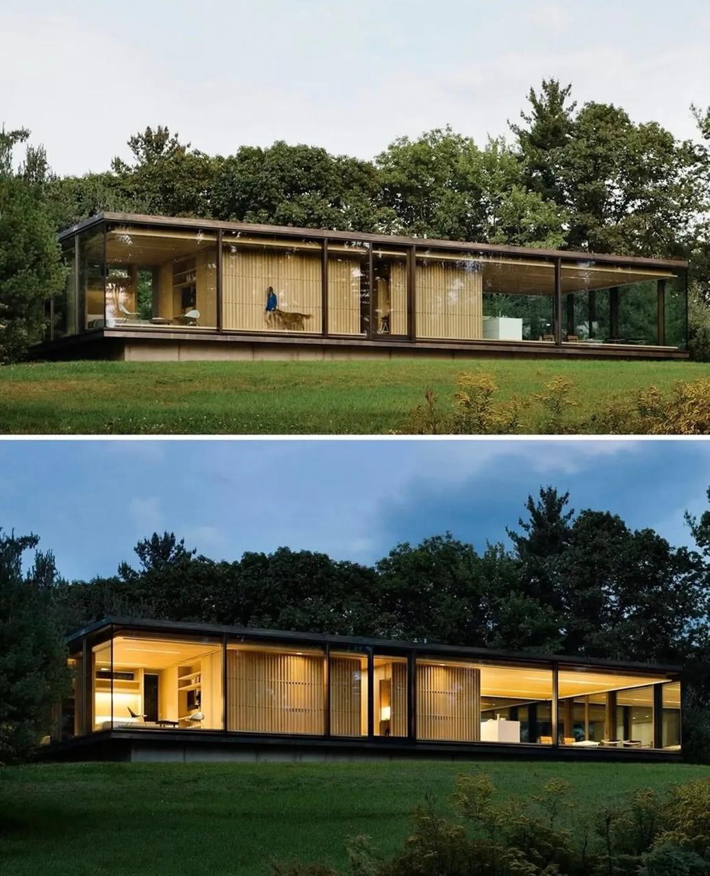 Casa modular de vidro em meio à natureza